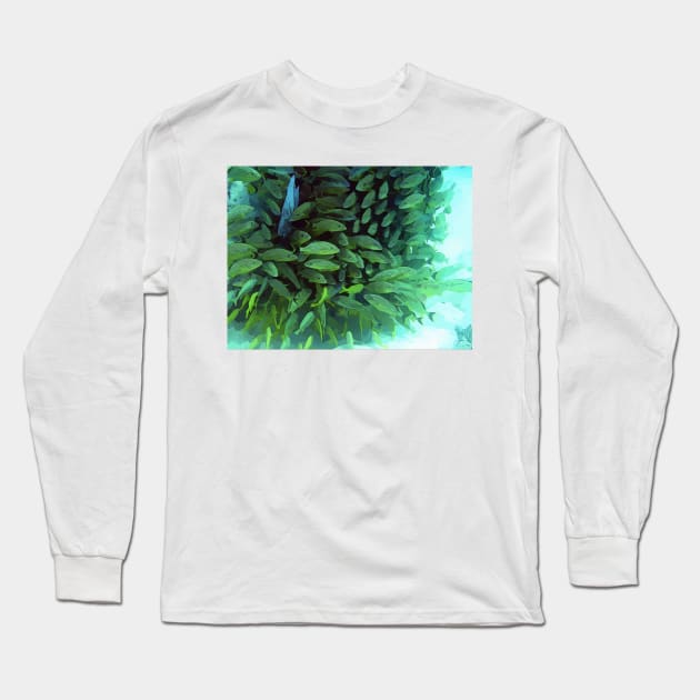 Bimini Fish Long Sleeve T-Shirt by WelshDesigns